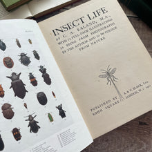 Load image into Gallery viewer, Rare 1921 Insect Life by C.A.Ealand First Edition Antique Illustrated Book