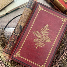 Load image into Gallery viewer, British Ferns and their Allies by Thomas Moore Mid Victorian Book with Colour Plates