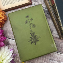 Load image into Gallery viewer, Shadow's by Mrs OF Walton Beautiful Floral Binding Antique Book
