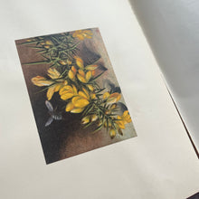 Load image into Gallery viewer, Rare but WORN edition of Beauty of Common Things Ornate Victorian Book