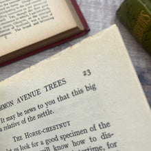 Load image into Gallery viewer, Talks About Trees by John W Gofton Antique Nature Book Illustrated