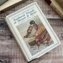 Load image into Gallery viewer, Feathered Friends of Stream and Shore by Eleanor E Helme; With Dust Jacket