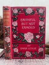 Load image into Gallery viewer, Beautiful But Not Famous by Emma Leslie; Beautiful Floral Binding Book