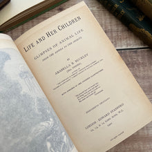 Load image into Gallery viewer, 1901 Life and Her Children by Arabella Buckley Illustrated Antique Book
