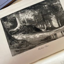 Load image into Gallery viewer, 1907 The Nature Poems of George Meredith; with Black and White Plates