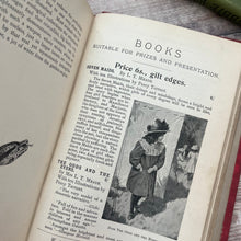 Load image into Gallery viewer, Four Hundred Animal Stories; Late Victorian Illustrated Book