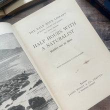 Load image into Gallery viewer, Half Hours With a Naturalist Rambles Near the Shore; Antique Natural History Book