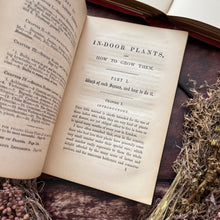 Load image into Gallery viewer, Rare First Edition 1861 Indoor Plants and How to Grow Them Beautiful Victorian Book