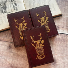 Load image into Gallery viewer, 1838 Three Volume Full Morocco Set of Walter Scott's Poetical Works
