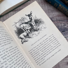 Load image into Gallery viewer, Aesop's Fables; Illustrated Late 19th Century Book with Pictorial Binding