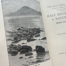 Load image into Gallery viewer, Half Hours With a Naturalist Rambles Near the Shore; Antique Natural History Book