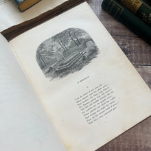 Load image into Gallery viewer, 1856 Sacred Allegories by the Rev William Adams Full Fine Leather Binding Book