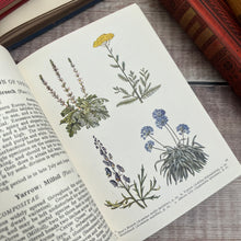 Load image into Gallery viewer, 1956 The Book of Garden Flowers by G.A.R. Phillips with Dust Jacket