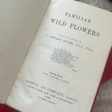Load image into Gallery viewer, Familiar Wild Flowers Seven Volumes Bound as Four; Quarter Leather Illustrated Set