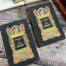 Load image into Gallery viewer, 1853 Two Stunning Antiquarian French Books; Les Petits Bearnais; Illustrated 19th Century
