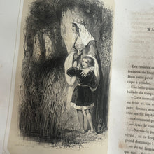 Load image into Gallery viewer, Le Femmes Illustres Beautiful French Cartonnage Binding Illustrated
