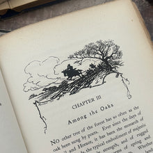 Load image into Gallery viewer, 1900 Our Forests and Woodlands by John Nisbet Limited Full Vellum Edition