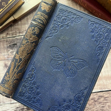 Load image into Gallery viewer, 1860 British Butterflies by WS Coleman Illustrated with Plates