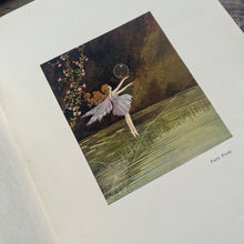 Load image into Gallery viewer, Very Rare First UK Edition of Fairyland by Ida Rentoul Outhwaite 1931