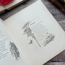 Load image into Gallery viewer, Through the Year; Spring, Summer, Autumn and Winter; Beautiful Illustrated Book