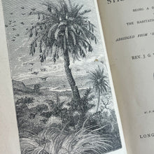 Load image into Gallery viewer, 1885 Strange Dwellings by J.G.Wood; Beautiful Illustrated Victorian Book