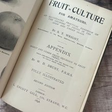 Load image into Gallery viewer, 1898 Fruit Culture for Amateurs; Second Edition Illustrated Gardening Book