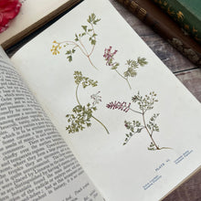 Load image into Gallery viewer, 1907 Flowers of the Field by Rev CA Johns; Antique Floral Binding Book
