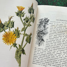 Load image into Gallery viewer, 1910 Familiar Wild Flowers; Three Individual Volumes, Half Calf with Marbled Edges