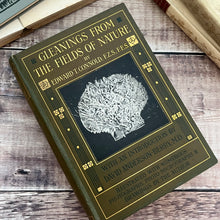 Load image into Gallery viewer, 1910 Gleanings from the Fields of Nature by Edward T Connold; Illustrated Book