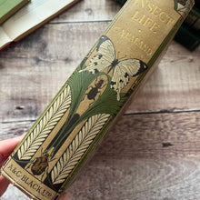 Load image into Gallery viewer, Rare 1921 Insect Life by C.A.Ealand First Edition Antique Illustrated Book