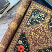 Load image into Gallery viewer, 1860 Common Wayside Flowers Illustrated by Birket Foster FIRST EDITION