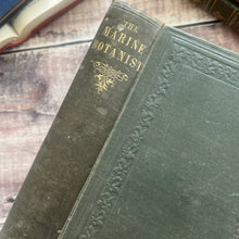 Load image into Gallery viewer, 1853 The Marine Botanist; An Introduction to the Study of British Seaweeds Illustrated