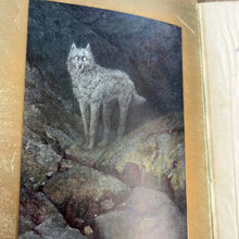 Load image into Gallery viewer, 1905 Northern Trails by William J-Long Illustrated Antique Book