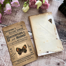 Load image into Gallery viewer, Disbound Book with a Collection of Colour Illustrations of Butterflies and Moths