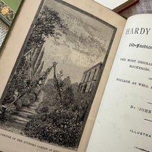 Load image into Gallery viewer, 1884 Hardy Perennials and Old Fashioned Garden Flowers by John Wood; Late Victorian Illustrated Book