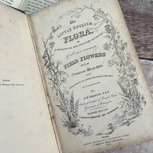 Load image into Gallery viewer, 1853 The Little English Flora or a Botanical and Popular Account of All Our Field Flowers