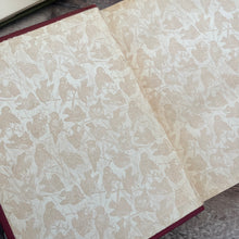 Load image into Gallery viewer, The Birds and Their Story by R.B.Lodge A Book for Young Folk Edwardian Illustrated