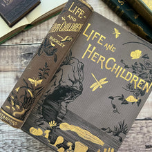 Load image into Gallery viewer, 1901 Life and Her Children by Arabella Buckley Illustrated Antique Book