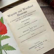 Load image into Gallery viewer, 1905 Wayside and Woodland Blossoms; Edwardian Illustrated Book (et)