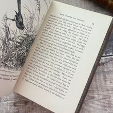 Load image into Gallery viewer, Half Hours In Field and Forest; Stunning Full Tree Calf Leather Binding