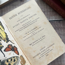 Load image into Gallery viewer, 1860 British Butterflies by WS Coleman Illustrated with Plates