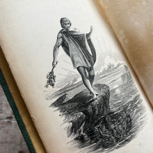 Load image into Gallery viewer, 1858 Glaucus or Wonders of the Shore By Charles Kingsley; Victorian Illustrated Book