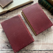 Load image into Gallery viewer, The Count of Monte Cristo by Alexandre Dumas in Two Volumes Illustrated Books