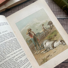 Load image into Gallery viewer, 1895 Hans Christian Andersen's Stories for the Household; Illustrated Fairy Tales Book