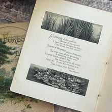 Load image into Gallery viewer, Two Nature Poetry Booklets ... Forest Echoes and Falling Leaves