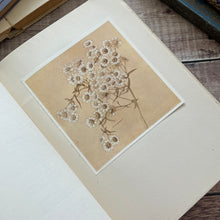 Load image into Gallery viewer, The Flowers I Love with a Series of Tipped In Colour Plates by Katherine Cameron; Rare
