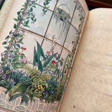 Load image into Gallery viewer, Rare First Edition 1861 Indoor Plants and How to Grow Them Beautiful Victorian Book