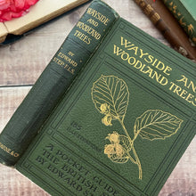 Load image into Gallery viewer, 1904 Wayside and Woodland Trees; A Pocket Guide to the British Sylva