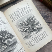 Load image into Gallery viewer, Beauties and Wonders of Vegetable Life; 19th Century Illustrated Book