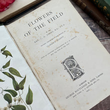 Load image into Gallery viewer, 1907 Flowers of the Field by Rev CA Johns; Antique Floral Binding Book
